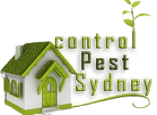 Do You Need Pest Control Service in Sydney