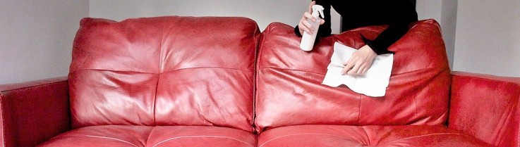 High Durable leather Recoloring & Restoration Service in Sunshine Coast