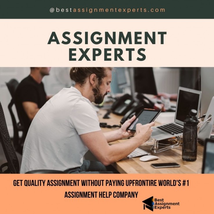 Assignment Experts