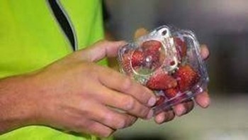 Transport, Fruit and Vegetables, Mobile Service