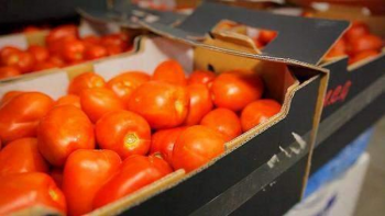 Transport, Fruit and Vegetables, Mobile Service