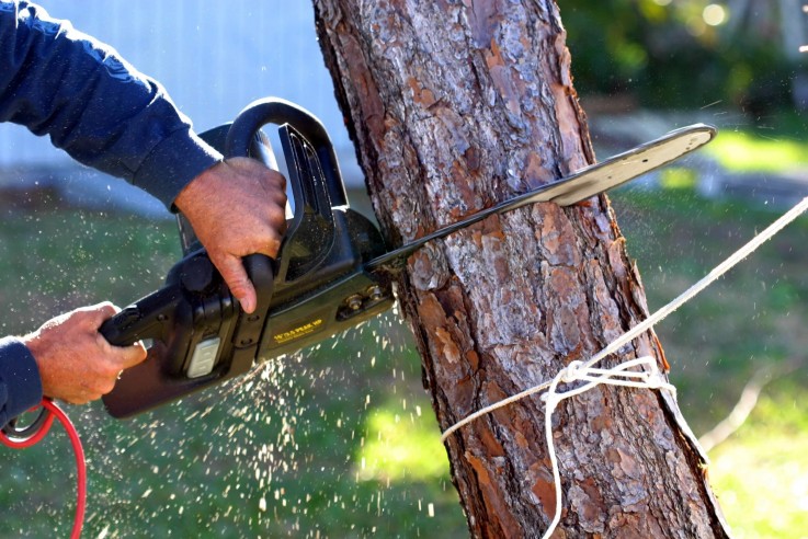 Tree Lopping & Cutting Services St Alban