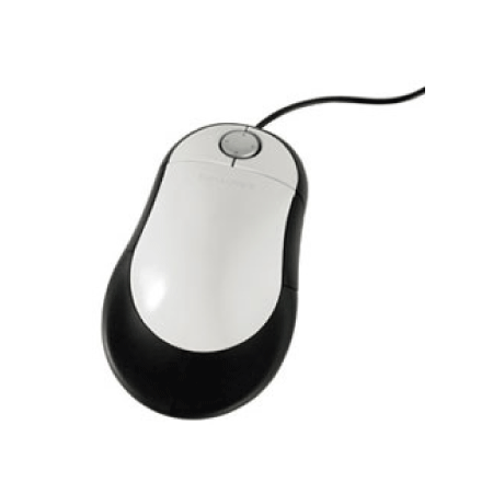 Switch Mouse