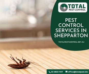 Don’t Let The Pests Control You! Choose Total Pest Control Today