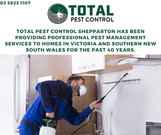Don’t Let The Pests Control You! Choose Total Pest Control Today
