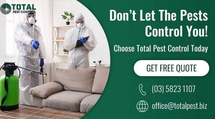 Don’t Let The Pests Control You! Choose Total Pest Control Today