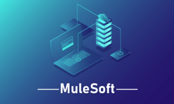 Mulesoft Training