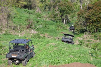 Looking for Buggy Tour in Queensland - Landcruiser Mountain Park
