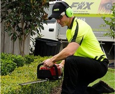 Hedging Services Taree