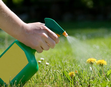 Weed Control Services Glenelg