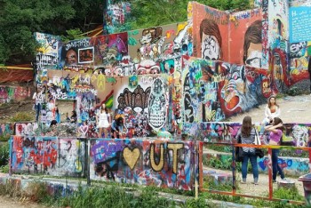 Professional Painter Parramatta