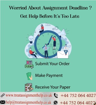 Treat Assignment Help In UK