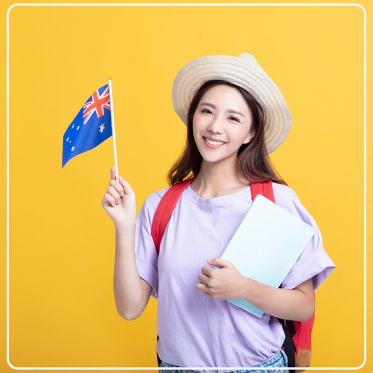 University Assignment Help