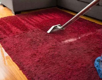 Professional Carpet Cleaners Bentleigh