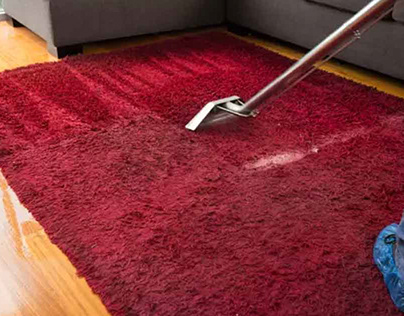 Professional Carpet Cleaners Bentleigh