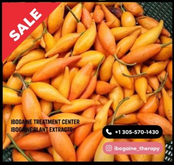 Ibogaine Treatment Therapy Available 