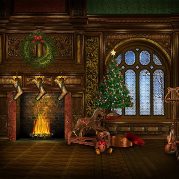 Christmas Backdrops for Photography in Australia