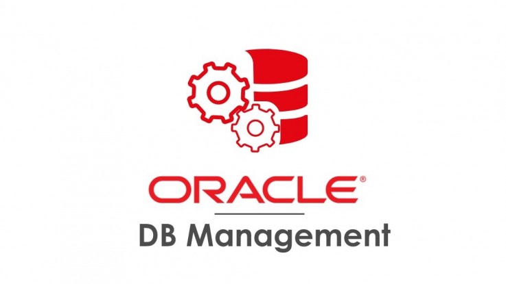 Oracle Database Development Company