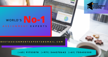 Assignment Experts