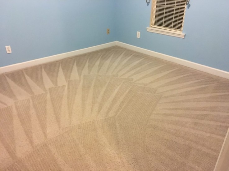 Carpet Cleaning in Sandgate