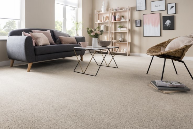 Carpet Cleaning in Sandgate