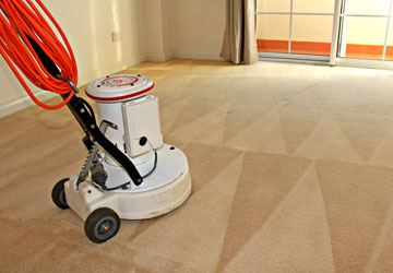 Best Carpet Cleaning Bentleigh
