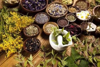 Best Naturopathy & Homeopathy Consultant in Sydney