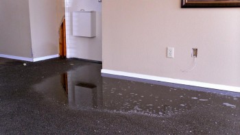 Water Damage Restoration Canberra
