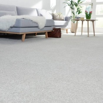 Commercial Carpet Cleaning Bendigo
