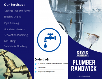 Highly trusted and reliable plumbing services in Randwick