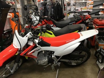 Automotive Service Retail