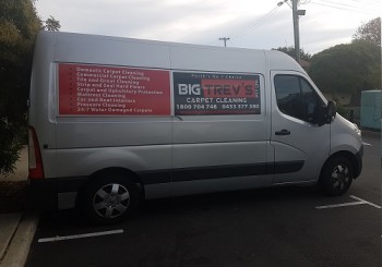 Reliable Carpet Cleaning Service