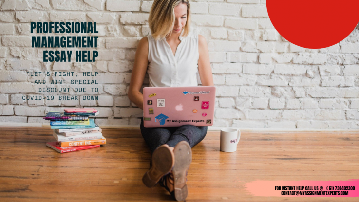 Management Essay Help