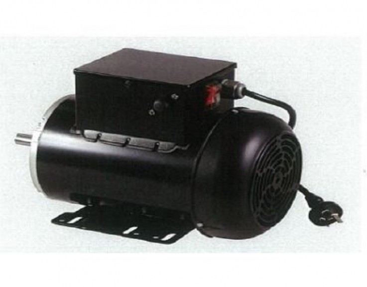 Looking for Single Phase Motors Online?