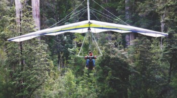 Eagle Hang Glider – Tahune Airwalk