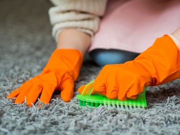 Cheap Carpet Cleaners Adelaide - Fully-Trained and Most-Effective Carpet Cleaners