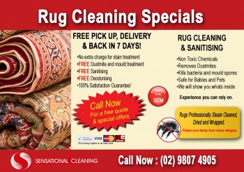 Home rug cleaners