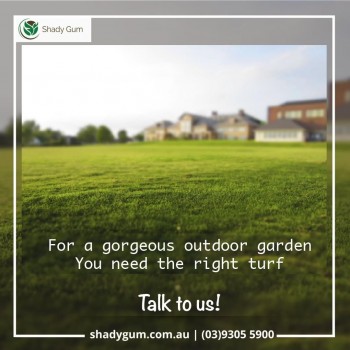 Instant Turf Suppliers in Melbourne, Aus