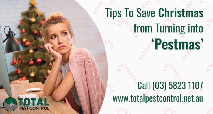 5 Pest Control Shepparton Tips To Save Christmas from Turning into ‘Pestmas’