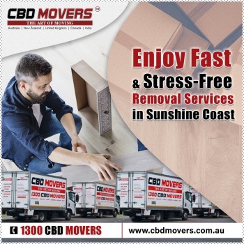 Best Cheap Removals Expert Sunshine Coast
