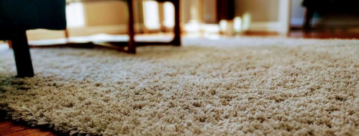 Carpet Cleaning Launceston