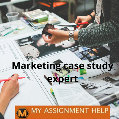 Marketing case study expert