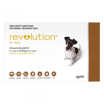 Buy Revolution for Flea- Worms Treatment for Dogs