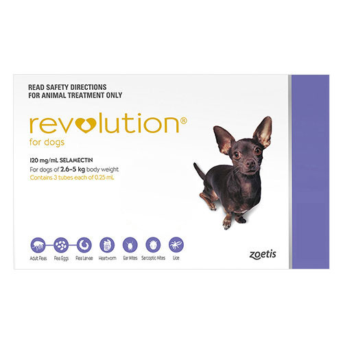 Buy Revolution for Flea- Worms Treatment for Dogs