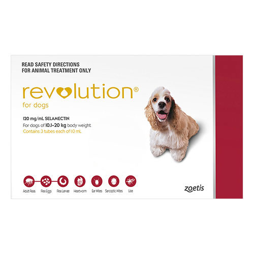Buy Revolution for Flea- Worms Treatment for Dogs