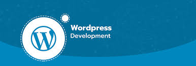 Hire Top Rated Wordpress Developers