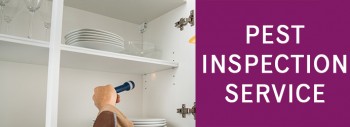 Pest Control Ballarat