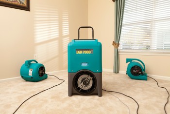 Affordable Carpet Cleaning Melbourne