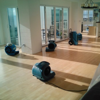Affordable Carpet Cleaning Melbourne