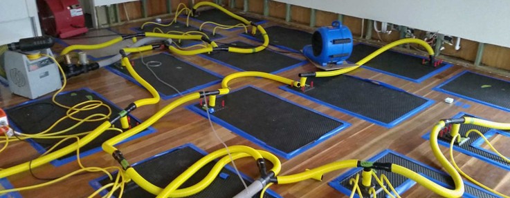 Affordable Carpet Cleaning Melbourne